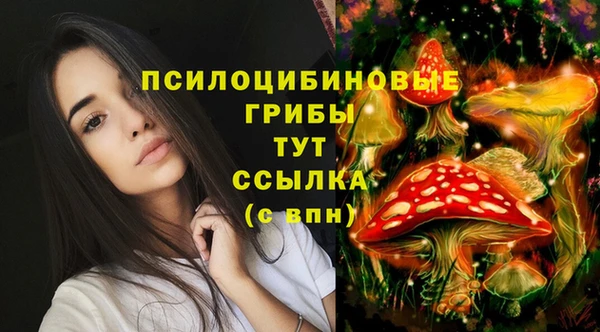 меф Володарск