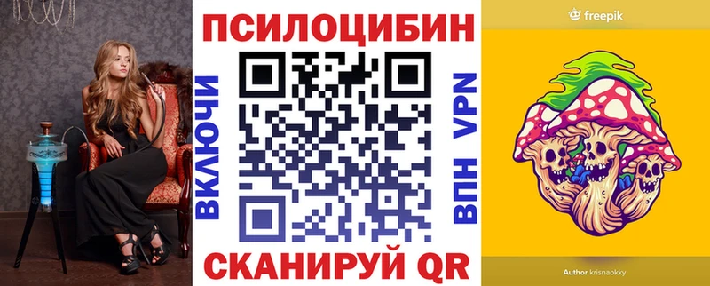 Псилоцибиновые грибы Psilocybe  Вичуга 
